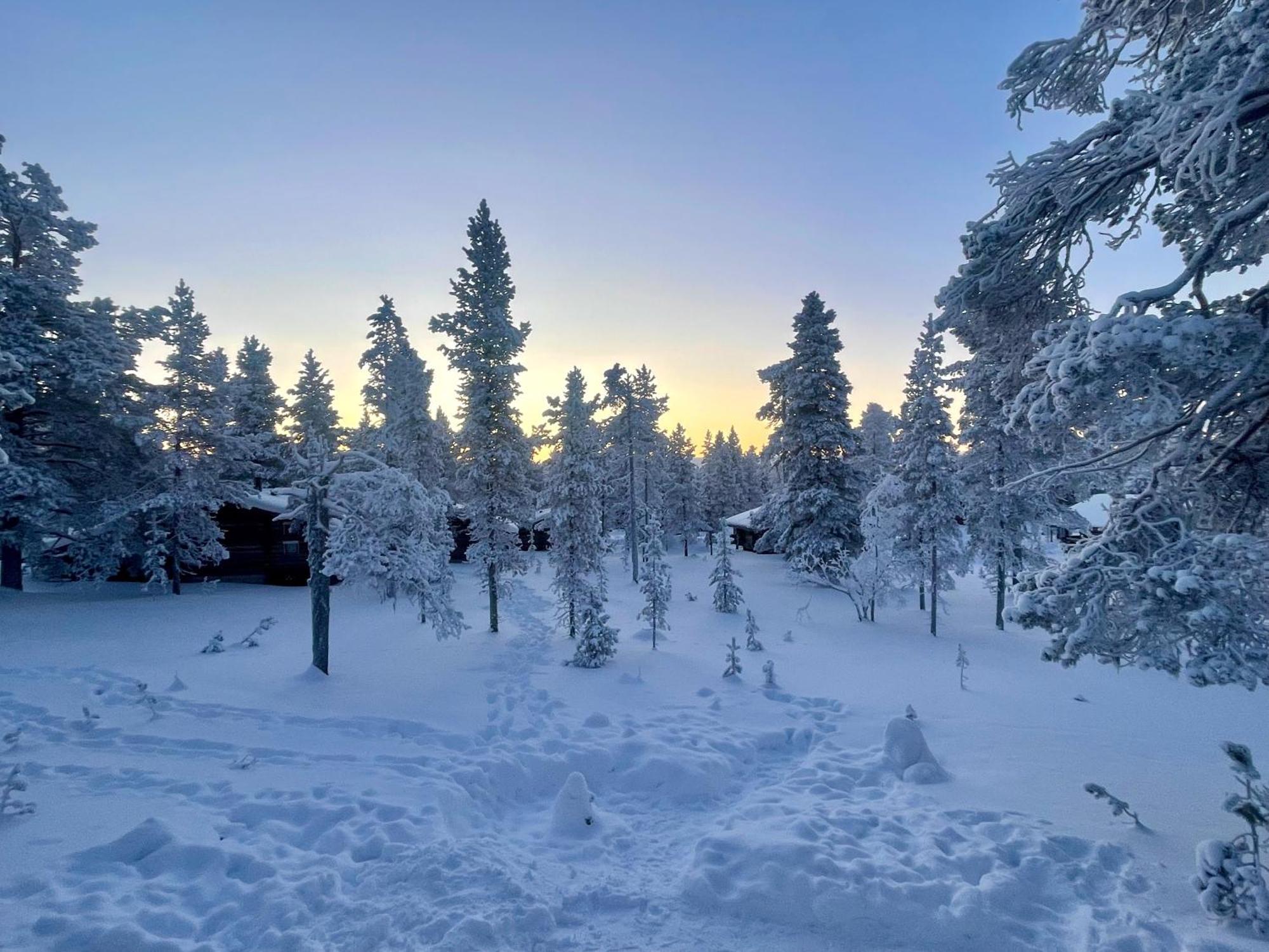 Arctic Log Cabins Saariselkä Exterior foto